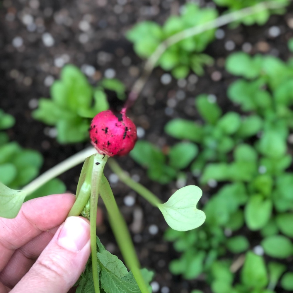 Meet your Posher, Kylie